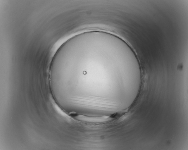 X0000111931535200908241103