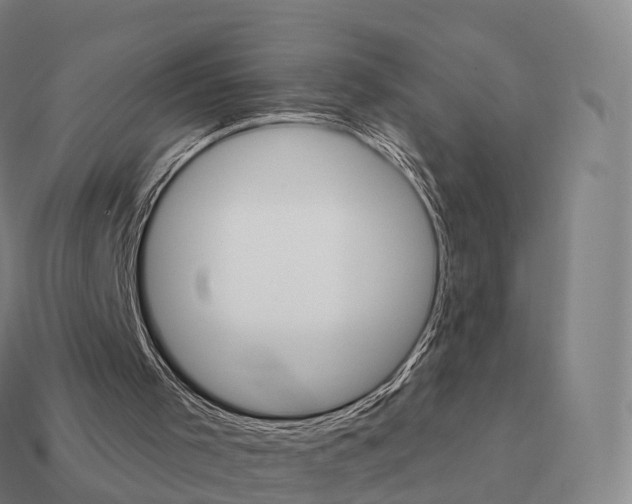 X0000111930001200909071248