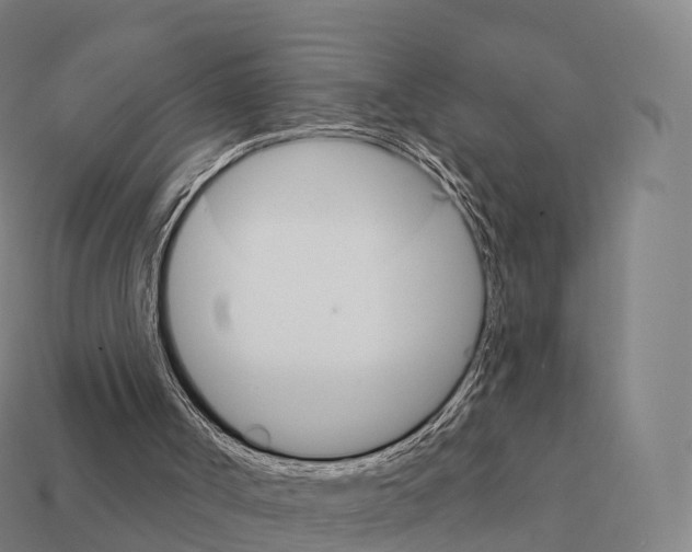 X0000111930002200909071248