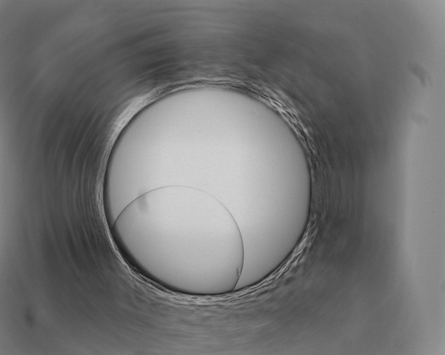 X0000111930003200909071248