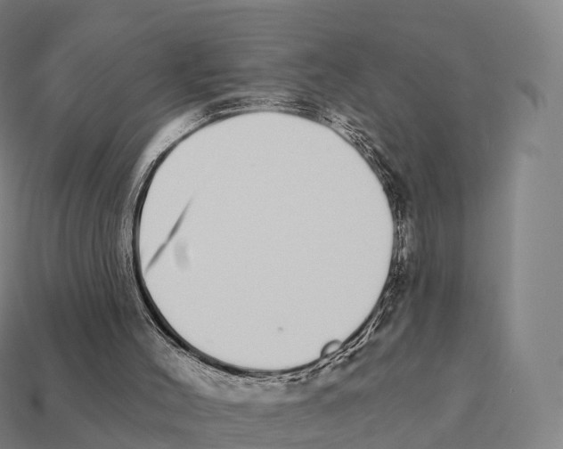 X0000111930004200909071248