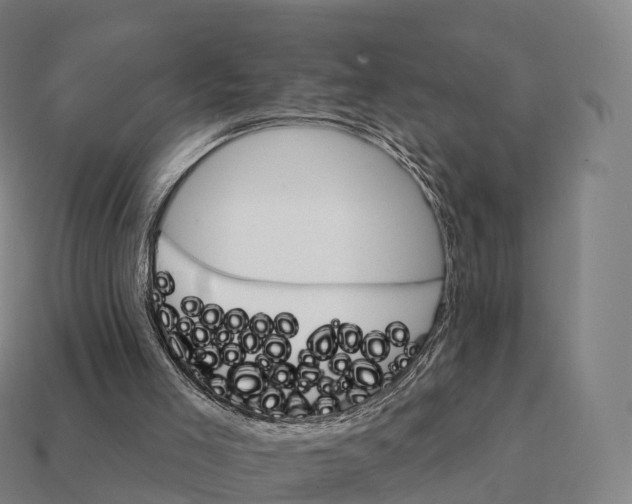 X0000111930005200909071248