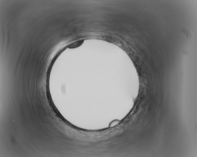 X0000111930006200909071248