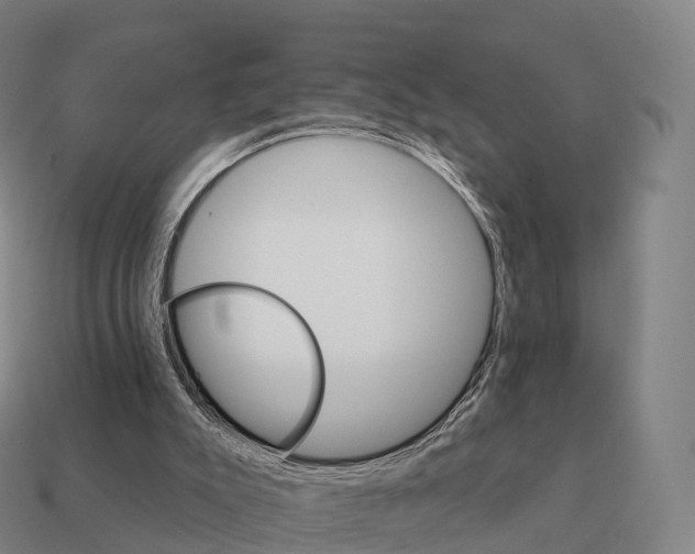 X0000111930007200909071248