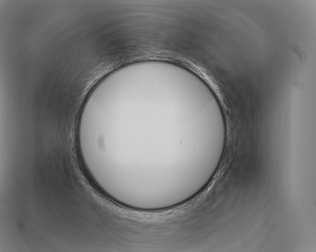 X0000111930010200909071248