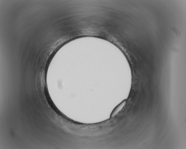 X0000111930011200909071248