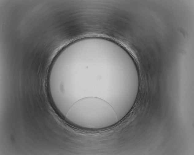 X0000111930015200909071248