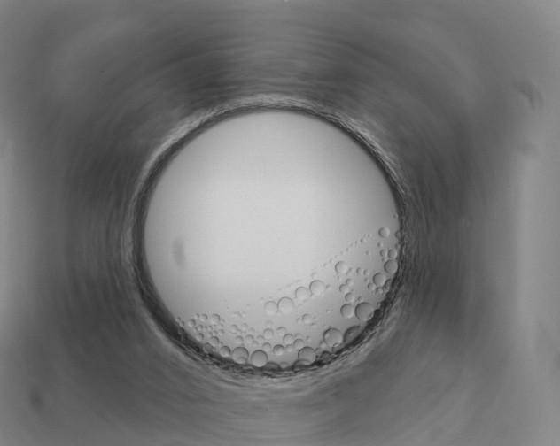 X0000111930016200909071248