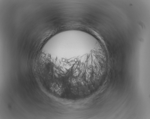 X0000111930018200909071248