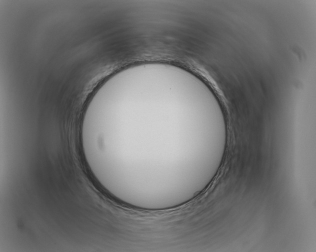 X0000111930019200909071248