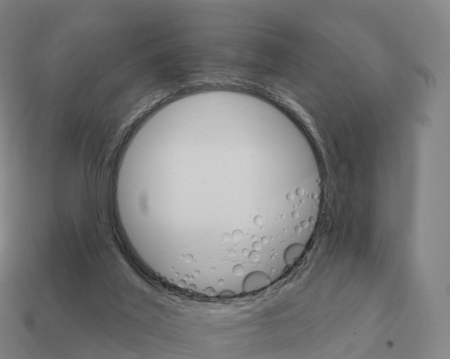 X0000111930020200909071248