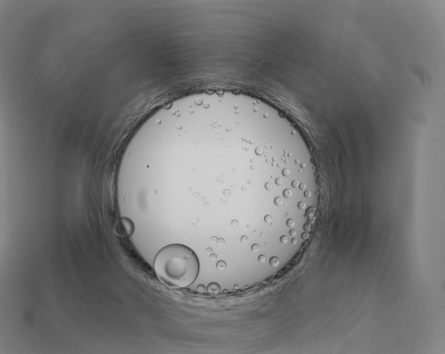 X0000111930022200909071248