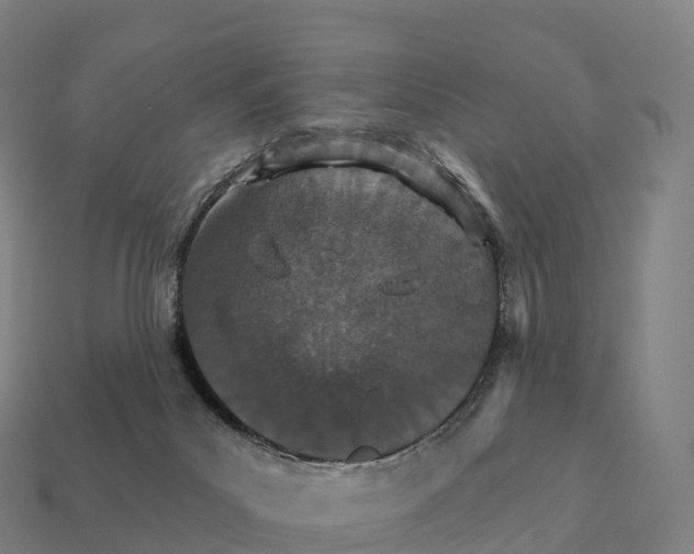 X0000111930023200909071248