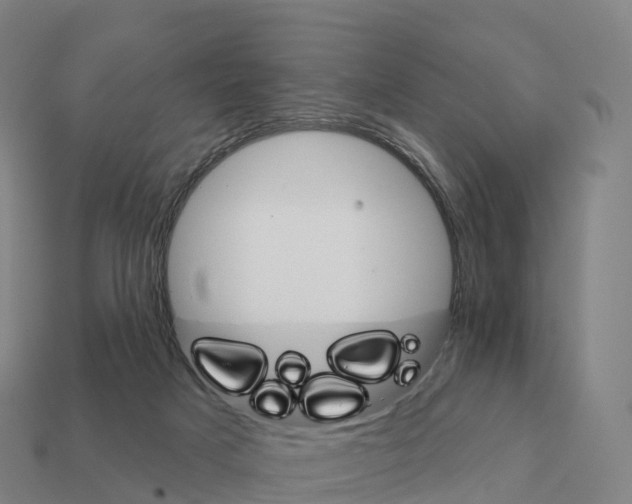 X0000111930025200909071247