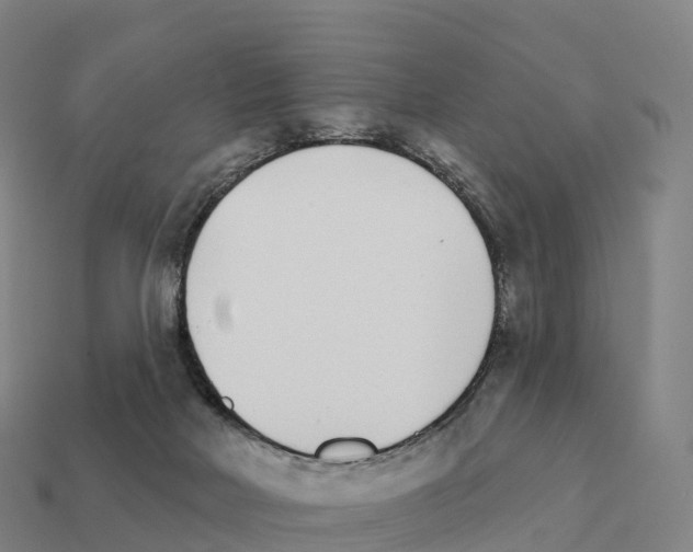 X0000111930026200909071247