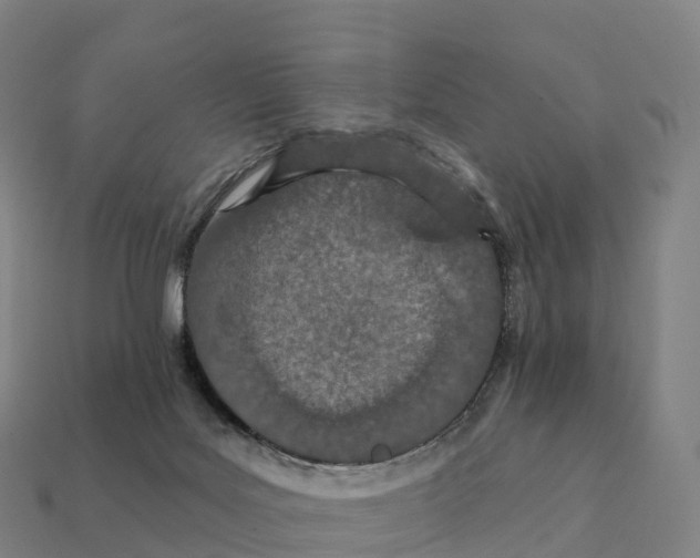 X0000111930027200909071247