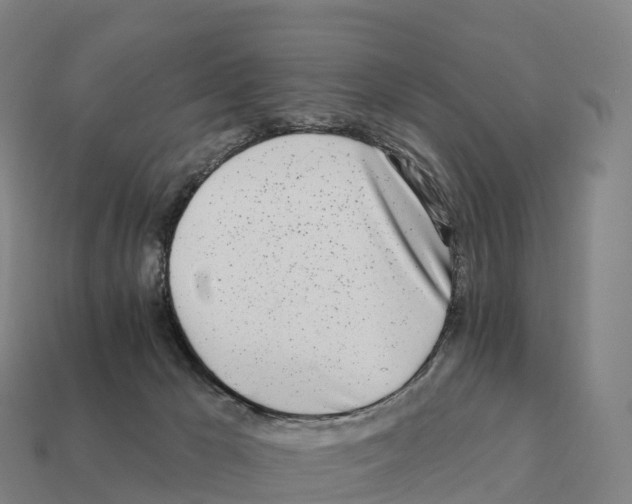 X0000111930029200909071247