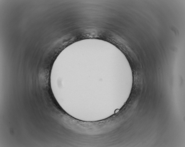 X0000111930030200909071247