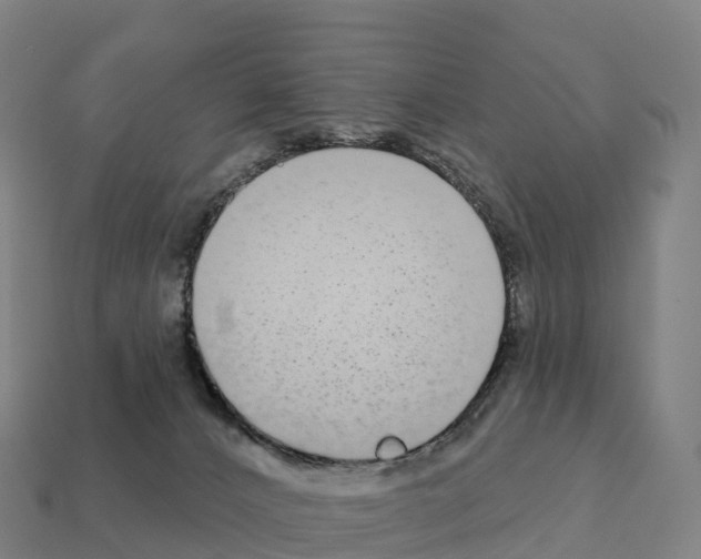 X0000111930032200909071247