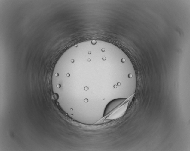 X0000111930034200909071247