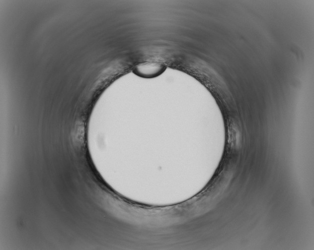 X0000111930036200909071247