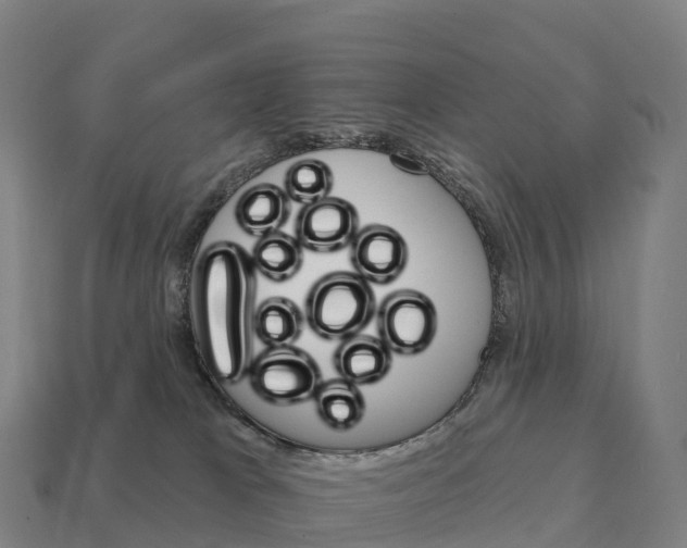 X0000111930037200909071247