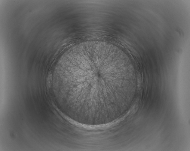 X0000111930038200909071247