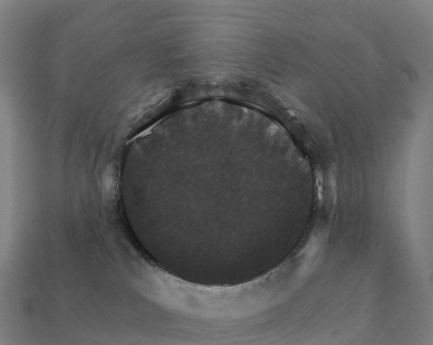 X0000111930039200909071247