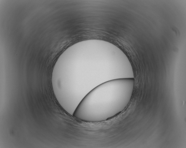 X0000111930041200909071247