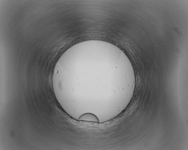 X0000111930042200909071247