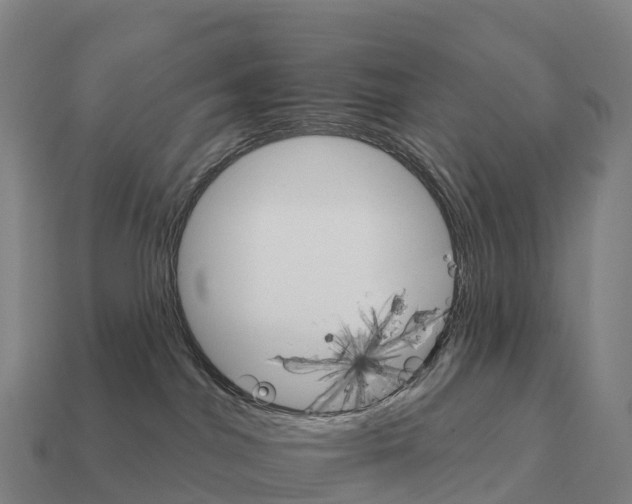 X0000111930044200909071247