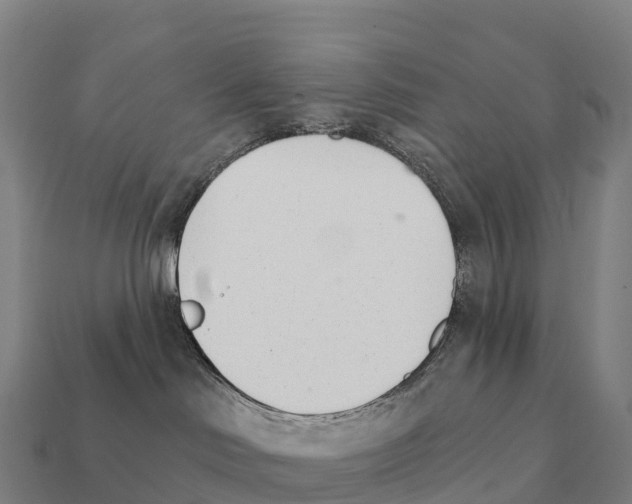 X0000111930046200909071247