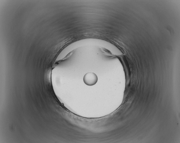 X0000111930047200909071247