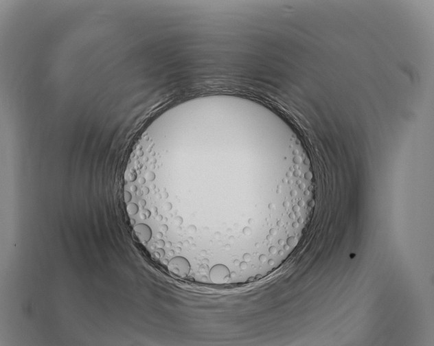 X0000111930048200909071247