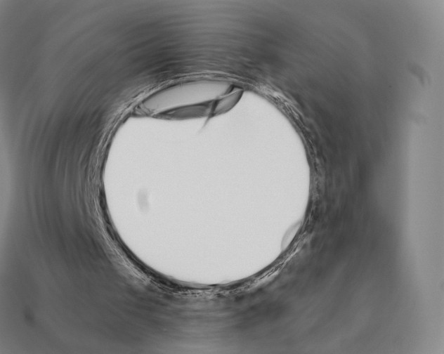 X0000111930049200909071247