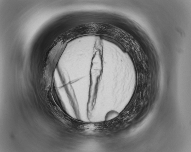 X0000111930050200909071247