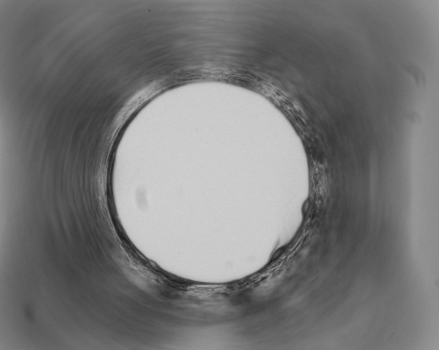 X0000111930051200909071247