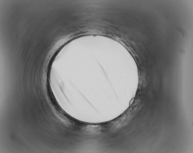 X0000111930055200909071247