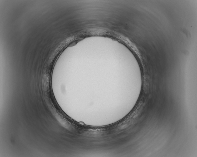 X0000111930057200909071247