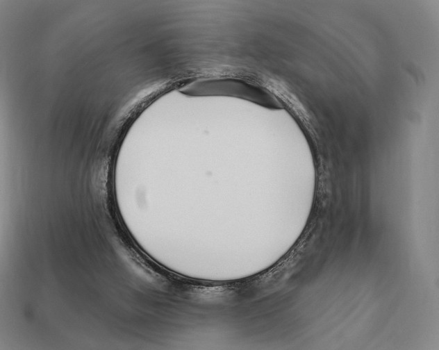 X0000111930058200909071247