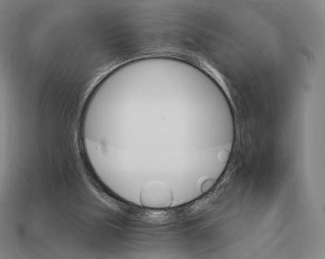 X0000111930059200909071247