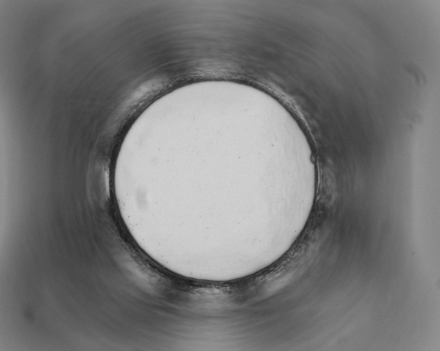 X0000111930061200909071247