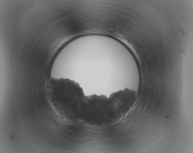 X0000111930062200909071247