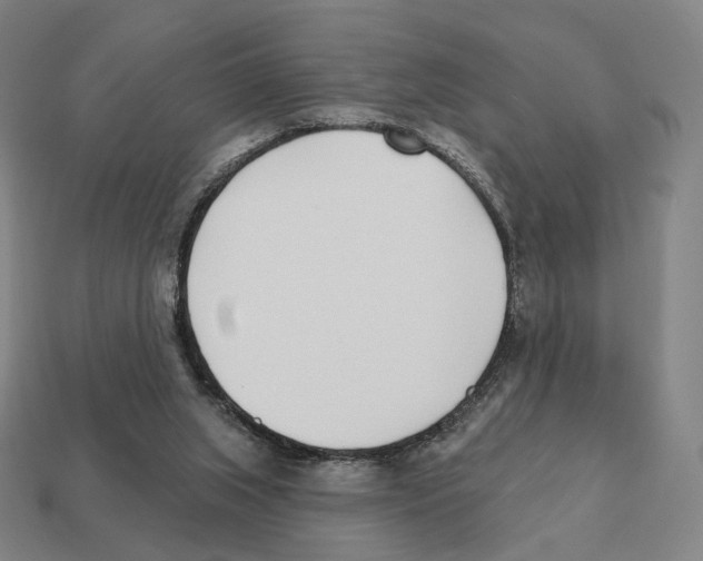 X0000111930063200909071247