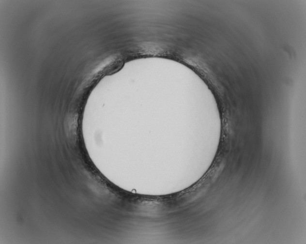 X0000111930066200909071247