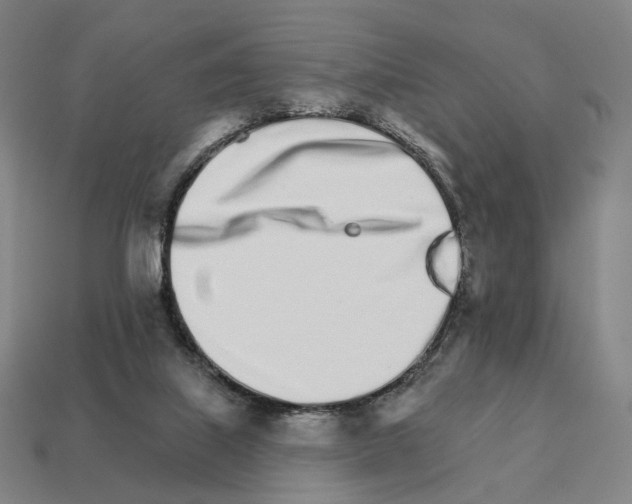 X0000111930067200909071247