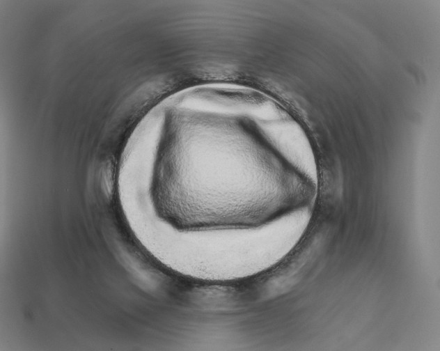 X0000111930069200909071247