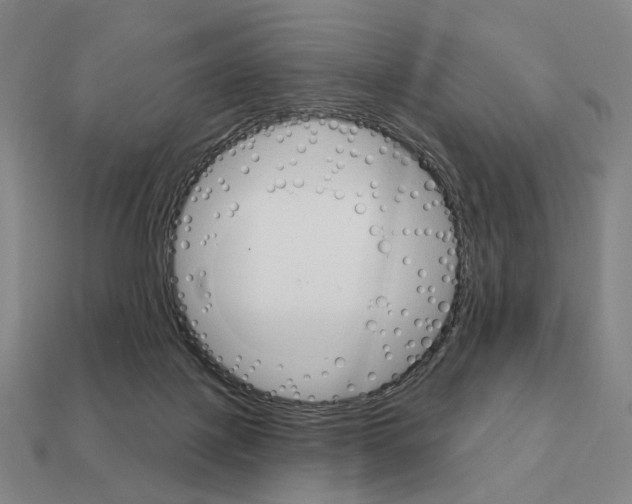 X0000111930075200909071247