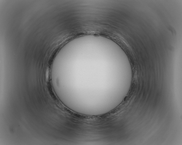 X0000111930076200909071247