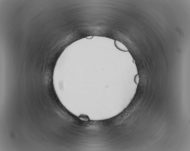 X0000111930077200909071247